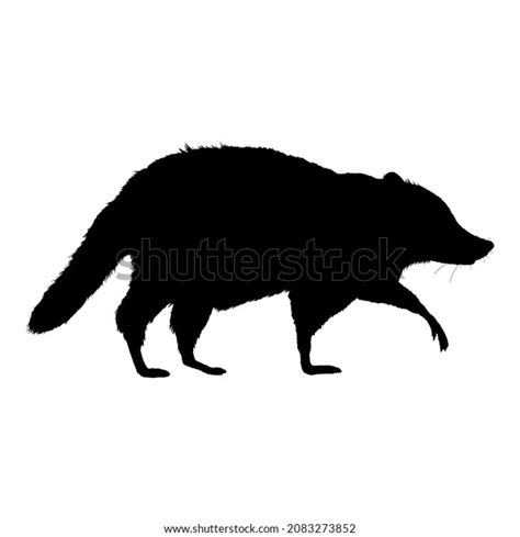 Raccoon Black Silhouette Walking On Isolated Stock Vector (Royalty Free ...