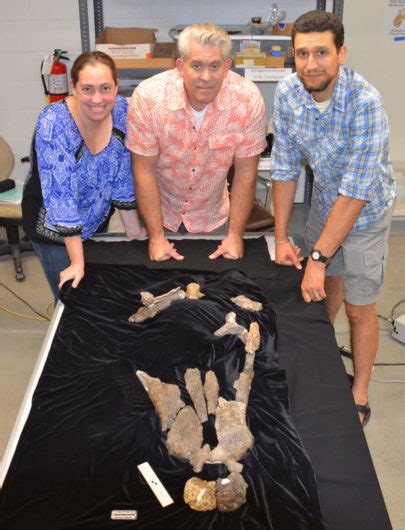 Scientists ID Prehistoric Crocodile Fossils Found in Arlington - D Magazine