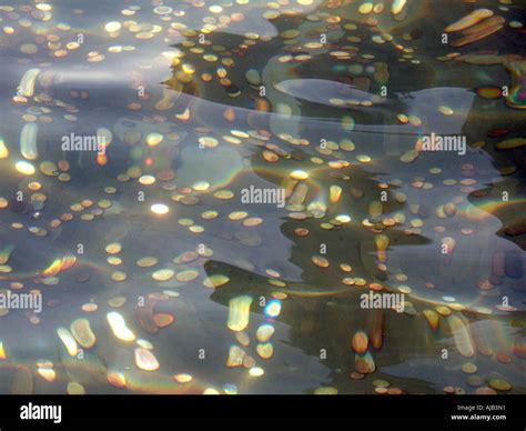 lots of coins in a wishing well Stock Photo - Alamy