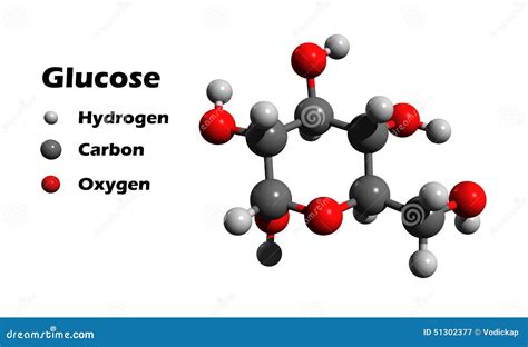 Glucose Stock Illustration - Image: 51302377