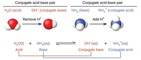 14.1 Brønsted-Lowry Acids and Bases – General Chemistry 1 & 2