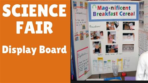 Setting Up Your Show Board For Science Fair You