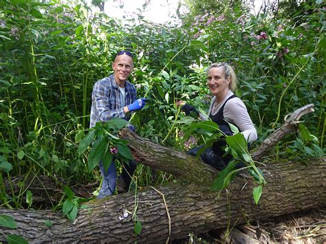 INVASIVE PLANT SPECIES CONTROL - Environment Controls