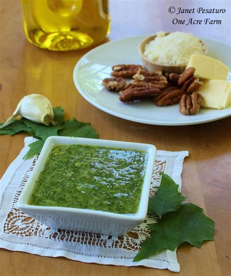 Garlic Mustard Pesto with Baby Spinach