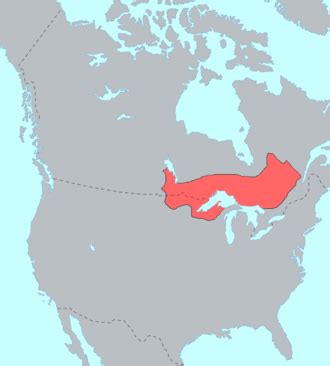 Ojibwe - Wikiwand