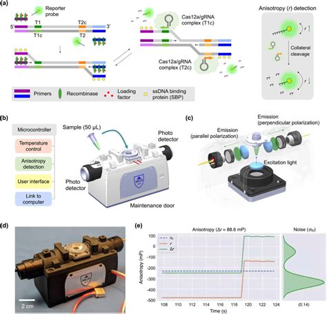 Fluorescence polarization system for rapid COVID-19 diagnosis ...