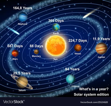 Eight solar system planets orbiting the sun diagram Vector educational ...