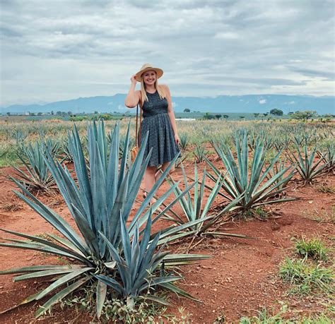 Tequila, Jalisco: How to Visit from Guadalajara | The Wandering Blonde