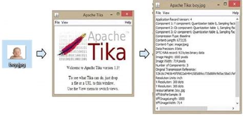 TIKA - Quick Guide