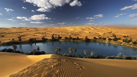 Desert Oasis Wallpapers - Wallpaper Cave