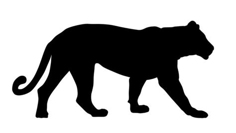 Lioness Svg | Lifeintish