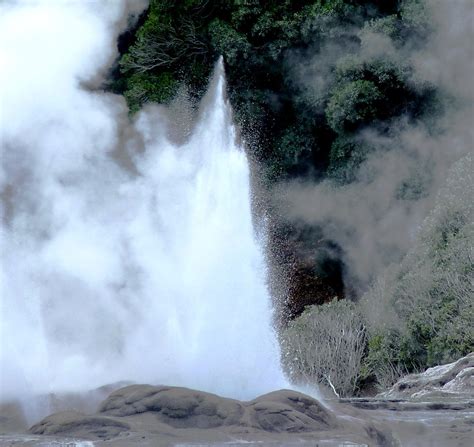 Pohutu Geyser at Te Puia Hot Springs, Rotorua, New Zealand… | Flickr