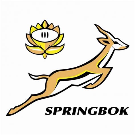 Springbok Rugby | Brands of the World™ | Download vector logos and ...