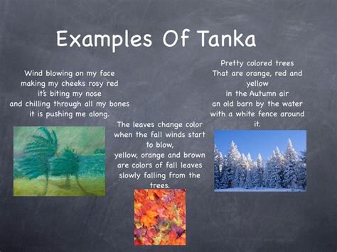 Tanka poems | Tanka, Poems, Example