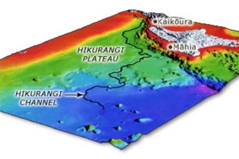 The Hikurangi Trench (canyon) just off the coast of Kaikoura. | Go ...