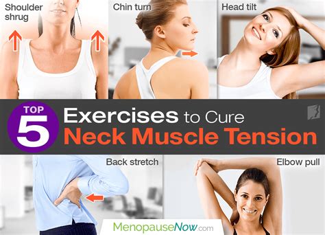 Top 5 Exercises to Cure Neck Muscle Tension | Menopause Now