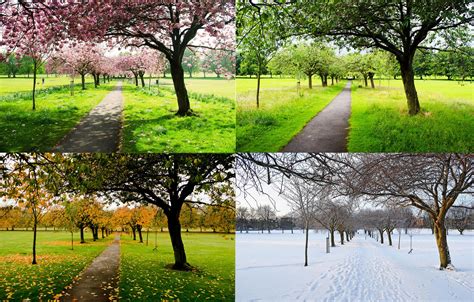 The Four Seasons wallpaper | nature and landscape | Wallpaper Better