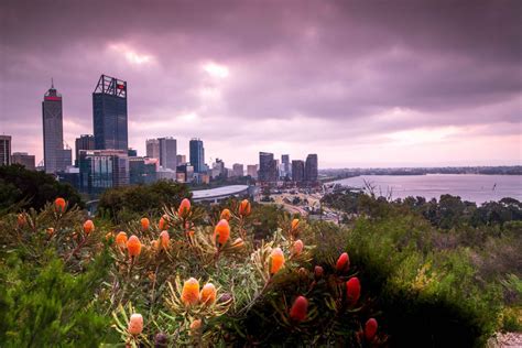 Perth City from Kings Park, Western Australia, Australia