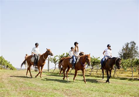 Horse Riding in NSW - Holidays, Tours & Experiences