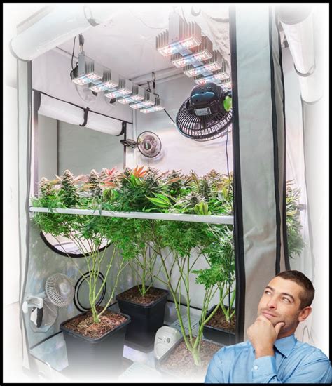 How To Set Up A Grow Tent Ventilation System: Step By Step, 41% OFF