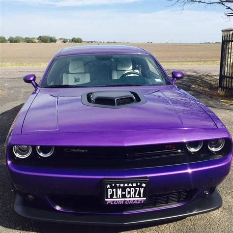 Plum Crazy Challenger R/T Shaker | Dodge muscle cars, Sports cars ...