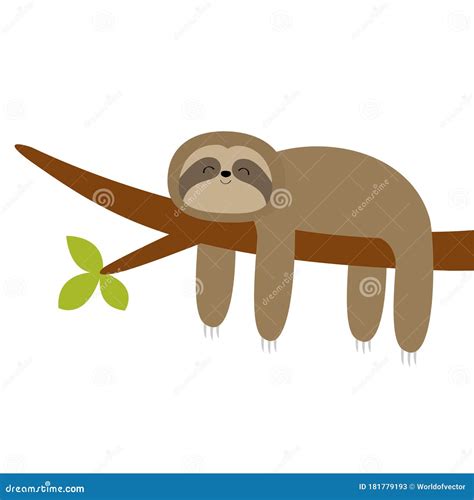 Sloth Hanging On Tree Branch Leaf. Cute Cartoon Kawaii Funny Lazy Baby ...