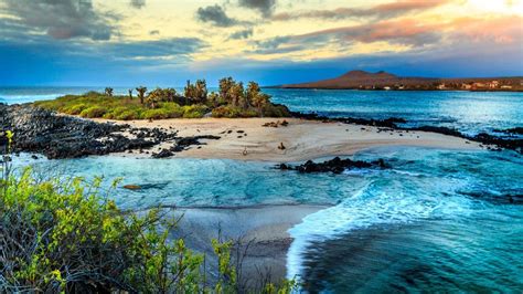 (Italiano) Parco Nazionale delle Galapagos: paesaggio, storia, flora ...