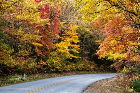 Asheville 2018 Fall Color Report & Forecast | Scenic Views | Asheville ...