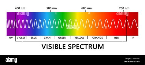 Visible Light Spectrum By DigitalPixel | ubicaciondepersonas.cdmx.gob.mx