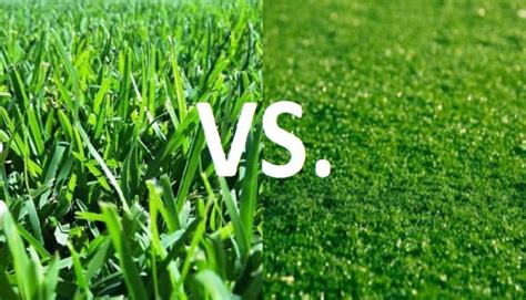 The Incidence of Injury on Turf vs. Grass Field - Omaha Physical ...