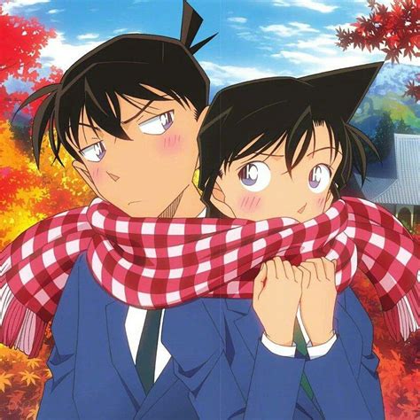 Shinichi Kudo and Ran Mouri - Detective Conan Wiki