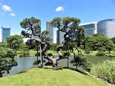 THE 15 BEST Things to Do in Chuo (2024) - Must-See Attractions