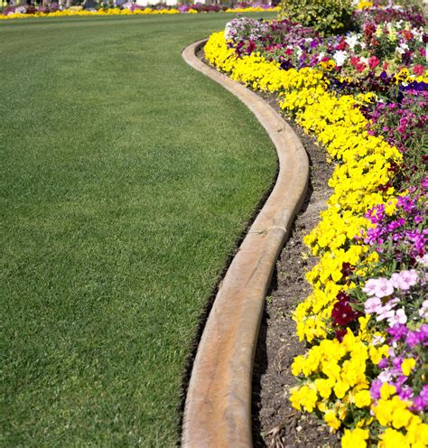 Decorative Edging For Garden Borders | Shelly Lighting