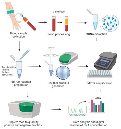 Diagnostics | Free Full-Text | The Clinical Utility of Droplet Digital ...