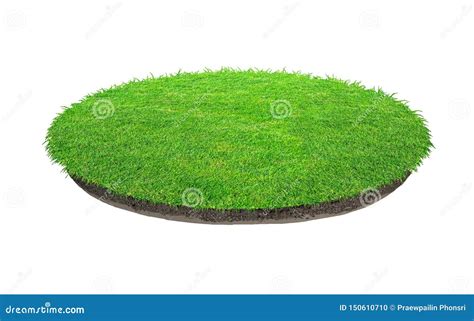 Abstract Green Grass Texture For Background. Circle Green Grass Pattern ...