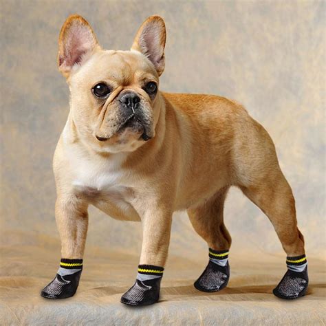 French Bulldog Accessories – Frenchie World Shop