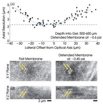 Two-Photon Microscopy Resolution - Inselmane