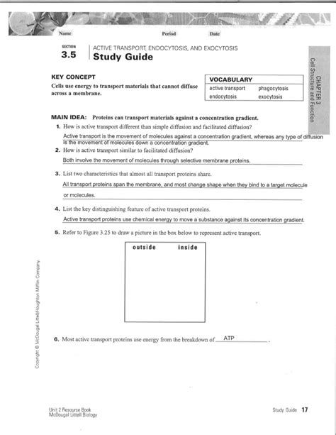 Endocytosis And Exocytosis Worksheet - Ivuyteq