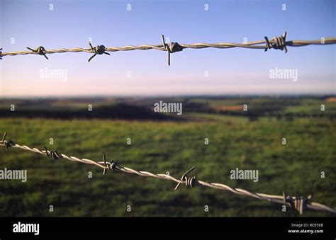 Barb wire fence Stock Photo - Alamy