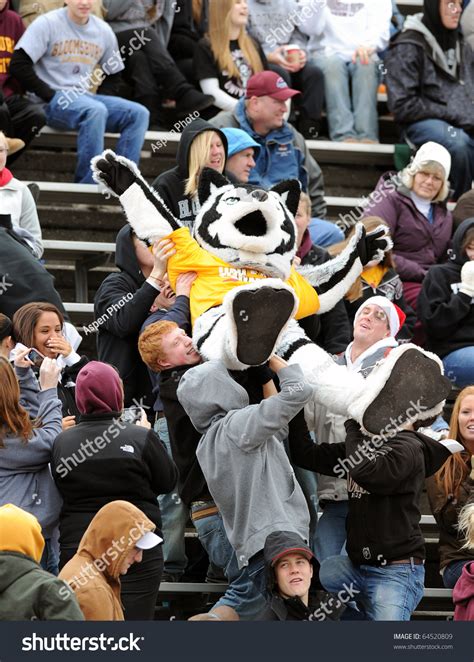 Bloomsburg, Pa - November 6: The Bloomsburg Husky (Mascot) Gets Passed ...