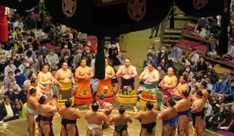 Sumo Tournament 2024 July 2 - Josi Maurise