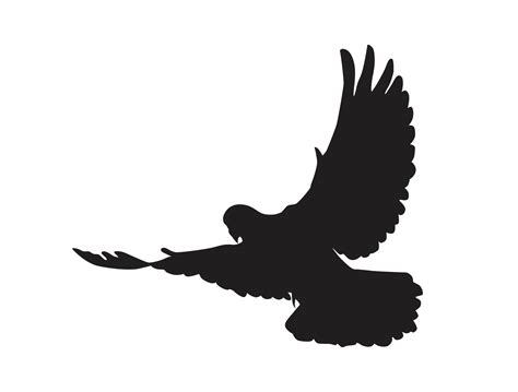 Bird - flying dove silhouette 12904486 PNG