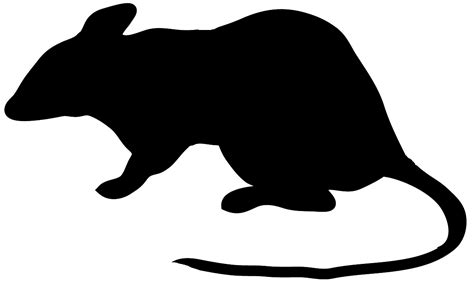 Rat Silhouette Clip Art - Cliparts.co