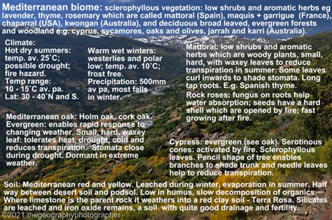 What is a Mediterranean biome? Mediterranean biome, sclerophyllous ...