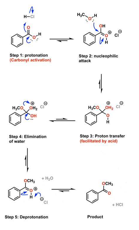 Esterification Mechanism