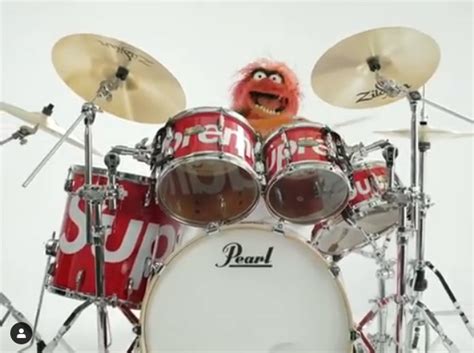 Muppets Animal Drums