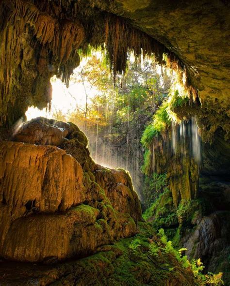 Take a Hike to This Stunning 40-Foot Waterfall & Cave Near Austin, TX ...