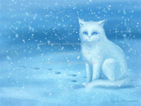 Cute Winter Cat Wallpapers - Wallpaper Cave