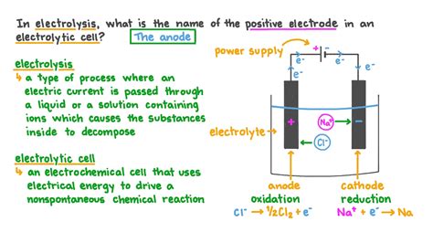 Question Video: Recalling the Name of the Positive Electrode in an ...