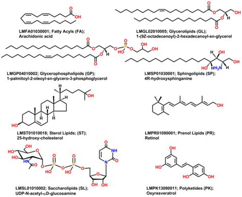 Map Lipid Lipidomics Database Metabolomics Structure Metabolism | The ...